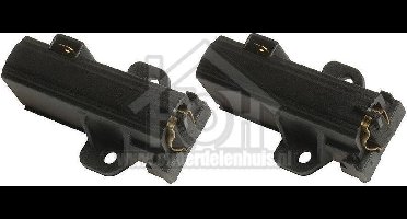 AEG Koolborstel Sole motor 1243098 74530 4006020152