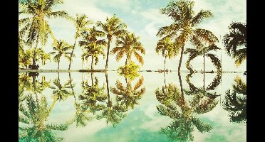 Komar Pure | key west | palmbomen | fotobehang op vlies 400x250cm