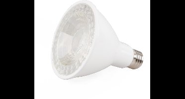 LED spot PAR30 E27 - 12W (=125W halogeen) - Daglichtwit 6500K - 60° - 230V
