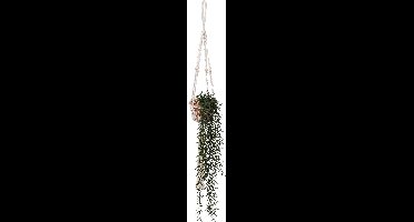 Kunstmatige senecio Ali, 92 cm