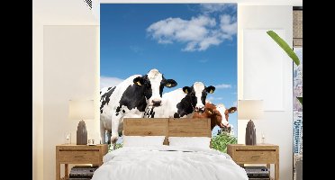 Behang - Fotobehang Koeien - Platteland - Weiland - Natuur - Dieren - Breedte 160 cm x hoogte 220 cm