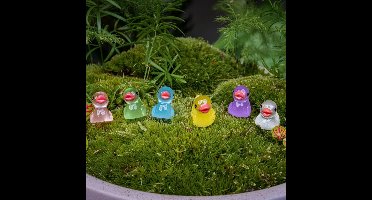 Glow in the dark - Ducks - Multi - ↑ 2 cm - 7 stuks