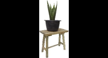 Van der Leeden Planten verhoger - 43 x 21 x 38 cm - naturel - teakhout - bijzettafeltje voor planten