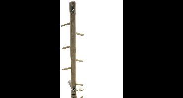 Van der Leeden kapstok teakhout 10 haken 60 cm