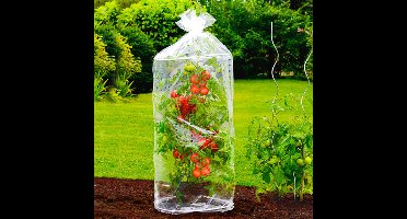 WENKO Tomatenhoes, 2 stuks