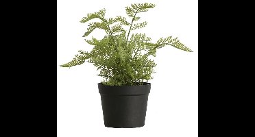 Varen groen 30 cm kunstplant Buitengewoon de Boet
