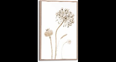 Schilderij Droogbloemen - 30 x 20 - Hout - REINDERS
