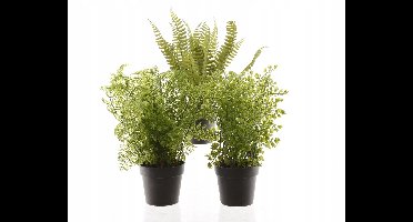 Kaemingk Serie - Synthetische Varen - 30 cm - Groene Kunstplant - Makkelijk Onderhoud