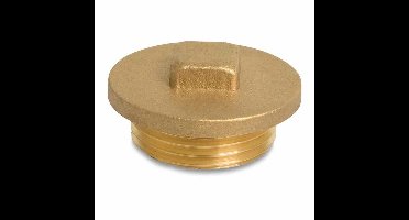 Draadfitting Messing Plug 1" BU