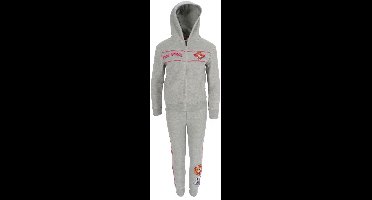 Paw Patrol Joggingpak - Maat 104 - Voor kinderen - Grijs