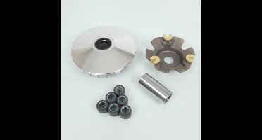 Variateur RMS voor Auto RMSM Nieuw