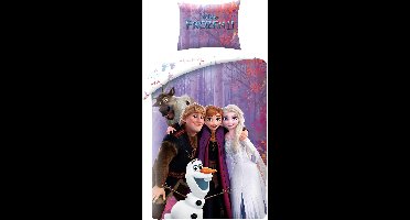 Frozen Dekbedovertrek Family - 140 x 200 cm - Katoen - 70 x 90 cm