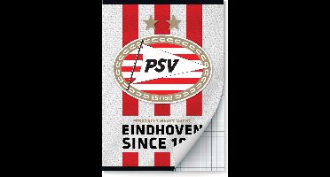 PSV schriften Ruit 10 mm A4 - 2 stuks