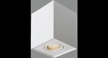 Groenovatie Opbouwspot Vierkant Hoog - Kantelbaar - GU10 Fitting - Mat Wit