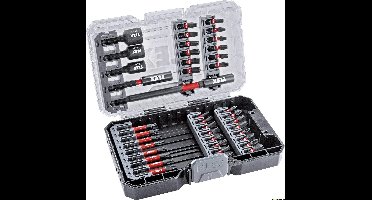 FLEX-TOOLS 530494 DB 41 Bitset 41-delig 4030293243361