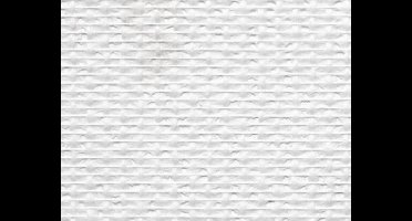 Glasweefsel 1x40 m ruit