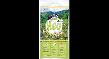 Bunny Nature Vers Gras Hooi Met Kamille