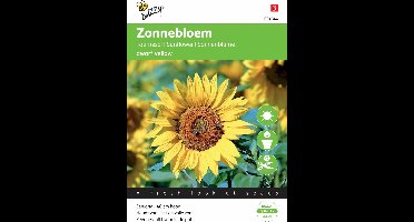 Buzzy® Helianthus annuus dwarf Yellow - Zonnebloem