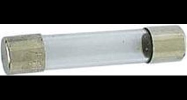Zekering 6.35 X 32Mm Snel 10A (10St./Doos)