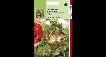 Hortitops Zaden - Kropsla Rouge Grenobloise