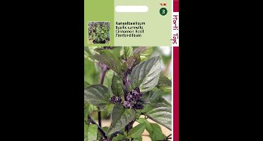 Hortitops Zaden - Basilicum Kaneelsmaak