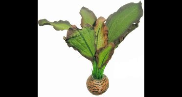 Superfish easy plants voorgrond nr. 3, van zijde 13 cm - 1 ST