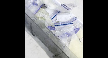 Lansinoh Bewaarzakjes - Voor borstvoeding - 2 x 50 stuks