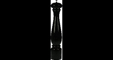 Bisetti Zoutmolen Torino - 22 Cm - Zwart Gelakt