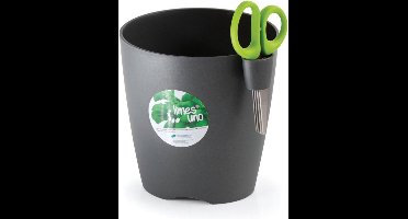 Cosy & Trendy Limes Uno Kruidenpot Met Schaar - 1L9 - Ø 15 cm x 16 cm - Antraciet