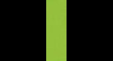 Folia Fotokarton licht groen 50X70-300G