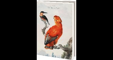 Bekking & Blitz - Wenskaartenmapje - Set wenskaarten -  Kunstkaarten - Museumkaarten - Uniek design - Dieren - Vogels - 10 stuks - Inclusief enveloppe - Aert Schouman - Teylers Museum Haarlem