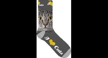 Kinder Sok Grijze Katten Ogen maat 31-36
