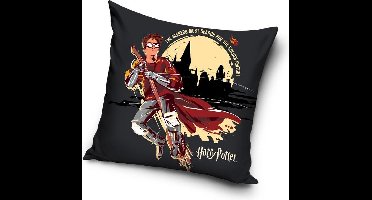 Carbotex Harry Potter - Sierkussen Kussen 40 x 40 cm inclusief vulling 100% polyester