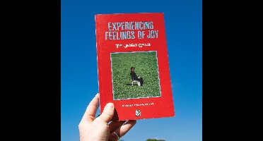 Experiencing Feelings of Joy