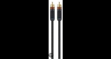 Belkin ProAV1000