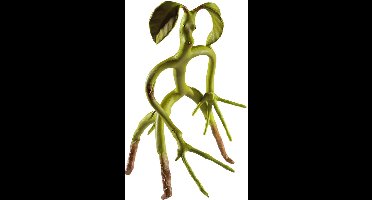 Fantastic Beasts: buigbare Bowtruckle