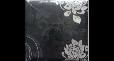 Foto insteek album Black Walther 100 foto's - Afmeting 17cm bij 16cm - KLEIN