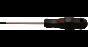 Skandia Torx-schroevendraaier TX27 x 105/205mm