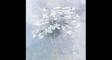 Kunstdruk Franz Heigl - Enchanted I 60x60cm