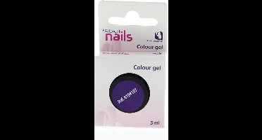UV KLEUR GEL VOOR NAGELS 5ML PURPLE RAIN