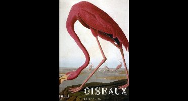 Oiseaux