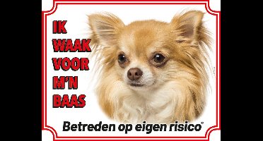 Chihuahua Langhaar Blond Waakbord