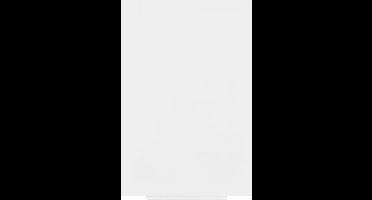 Rocada whiteboard - Skinpro - 100 x 150 cm - wit gelakt