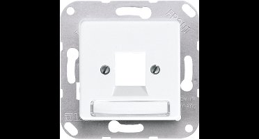 Jung 50x50mm Inzetplaat Schakelmateriaal - 169-1NWEWW - E2GJG