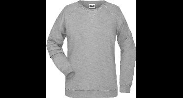 James and Nicholson Dames/dames Raglan Sweatshirt met lange mouwen (Grijze Heide)