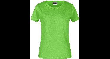 James And Nicholson Dames/dames Basic T-Shirt (Kalk groen)