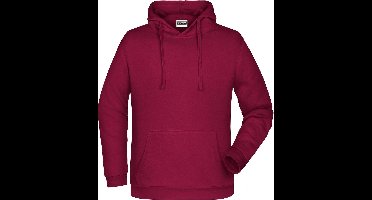 James And Nicholson Heren Basis Hoodie (Wijn)