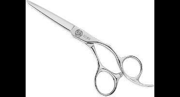 Cisoria Ce550
