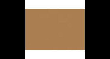 Folia Tekenpapier lichtbruin 50X70/130G