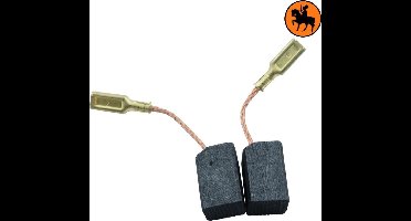 Koolborstelset voor Black & Decker P2521A - 6,3x8x13,5mm